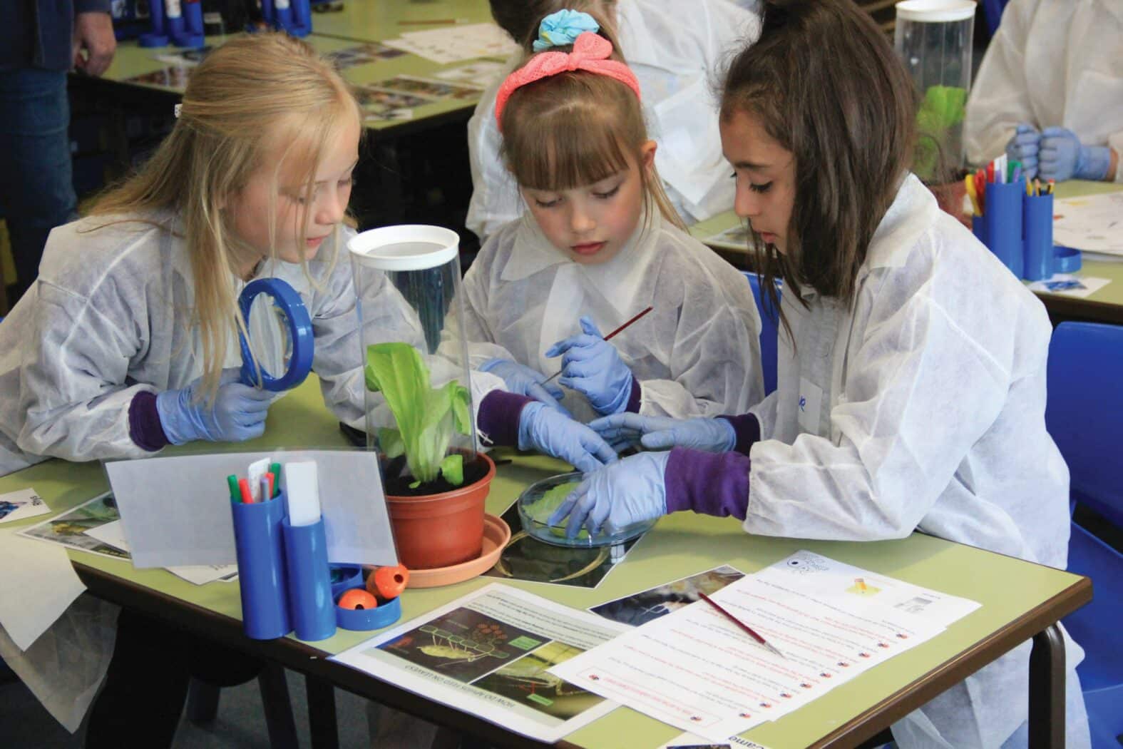 Young girls in lab coats and gloves examining insects and plants during a hands-on science workshop activity.