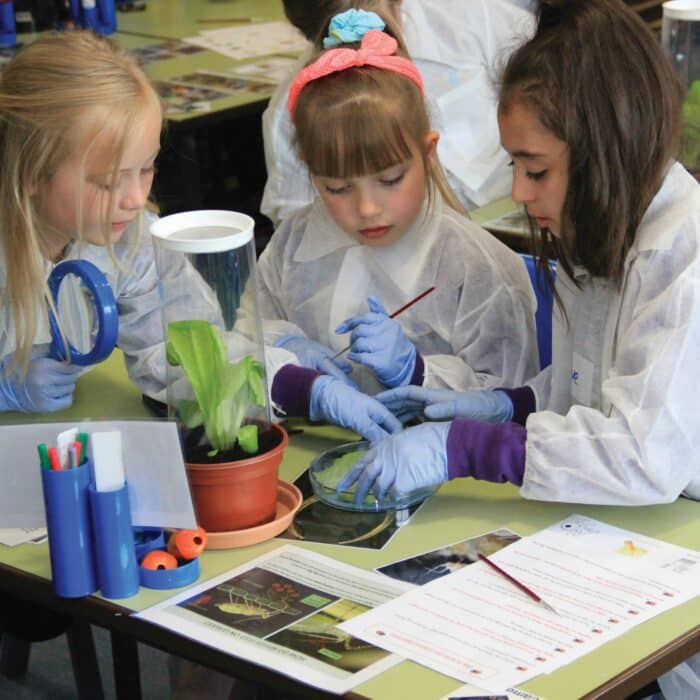 Young girls in lab coats and gloves examining insects and plants during a hands-on science workshop activity.
