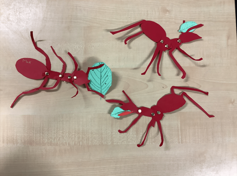 Leaf cutter ants made during a science, art and writing workshop at Drake primary school