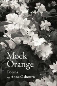Mock Orange, By Anne Osbourn
