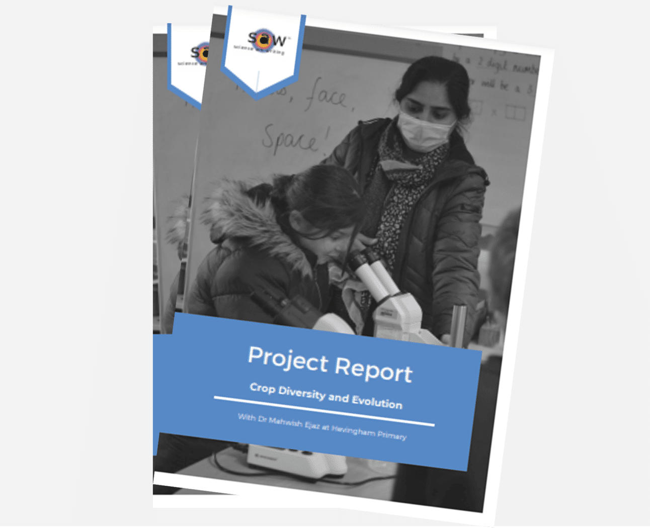 SAW Trust Project Report