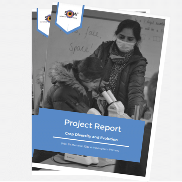 SAW Trust Project Report